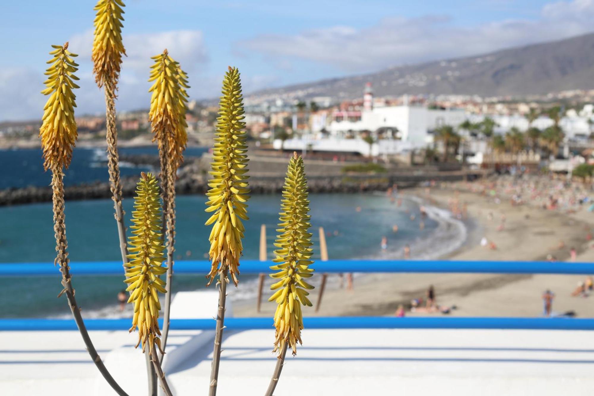 Luxury Romantic Ocean View Costa Adeje  Ngoại thất bức ảnh